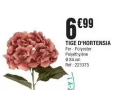 Tige D'hortensia