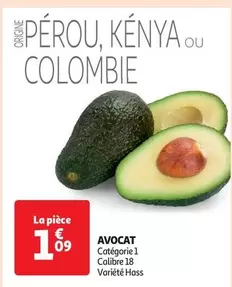 Avocat