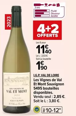 L.G.P. Val De Loire - Les Vignes De Val Et Mont Sauvignon : un vin d'exception à découvrir