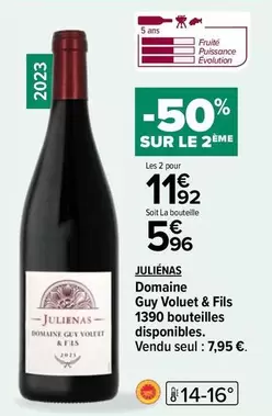 domaine guy voluet & fils - julieans