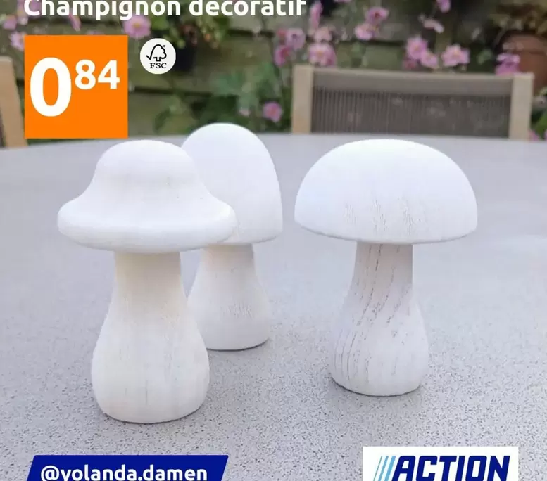 Champignon Decoratio offre à 0,84€ sur Action