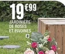 Jardinière De Roses Et Pivoines