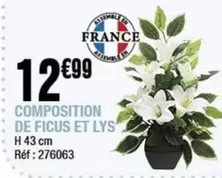 Composition De Ficus Et Lys H 43 Cm