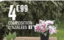 Composition D'azalees