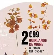 Guirlande De Vigne