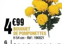 Bouquet De Pomponettes