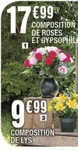 Composition De Roses Et Gypsophil