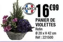 Panier De Violettes