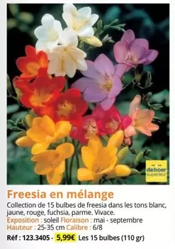 Freesia En Mélange offre à 5,99€ sur Magellan