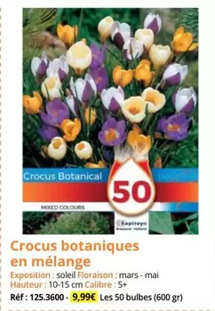 Crocus Botaniques En Mélange offre à 9,99€ sur Magellan