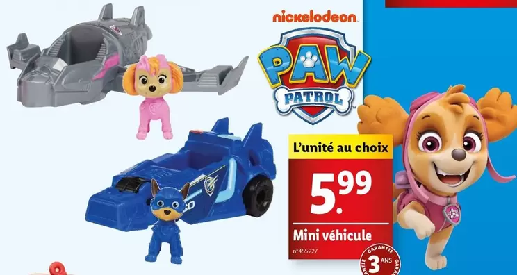 Mini Véhicule