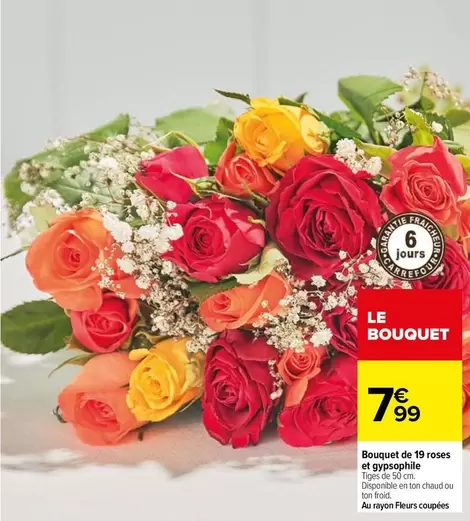 Bouquet De 19 Roses Et Gyrpophile offre à 7,99€ sur Carrefour Market