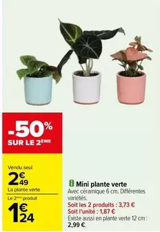 Mini Plante Verte