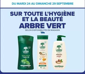 l'arbre vert - sur toute l'hygiène et la beauté