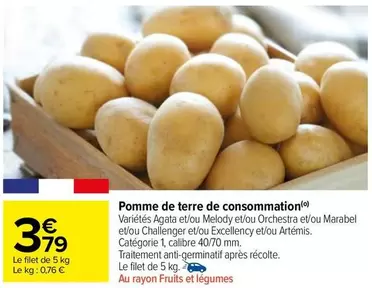 pomme de terre de consommation