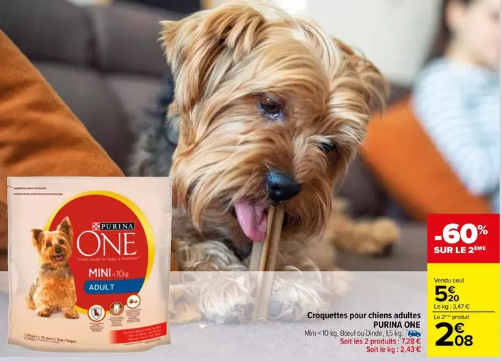 purina - croquettes pour chien adultes one