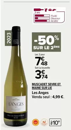 muscadet - les anges