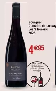 Domaine De Lossay - Bourgueil