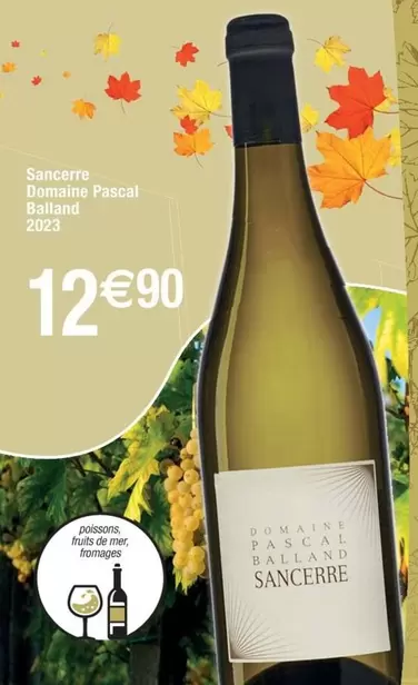 Domaine Pascal Ballamino - Sancerne