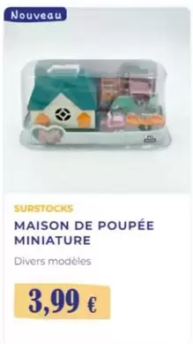 Maison De Poupée Miniature offre à 3,99€ sur Noz