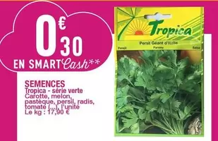 Persil - Tropica - Semences