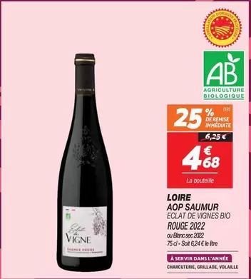 Loire - Aop Saumur Eclat De Vignes Bio Rouge 2022