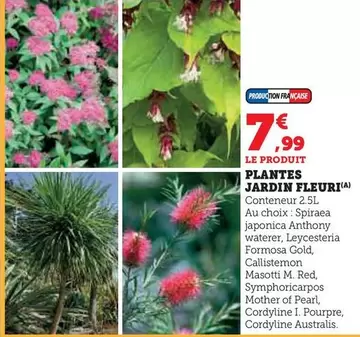 Plantes Jardin Fleuri offre à 7,99€ sur Super U