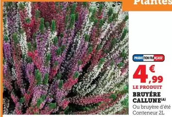 Bruyère Callune offre à 4,99€ sur Super U