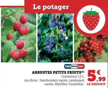 Arbustes Petits Fruits offre à 5,99€ sur Super U