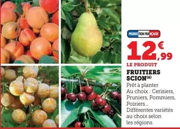 Fruitiers Scion offre à 12,99€ sur Super U