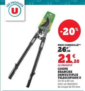 U - Coupe Branche Demolitiflie Telescopique