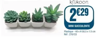 Sony - Kikkoon Mini Succulente