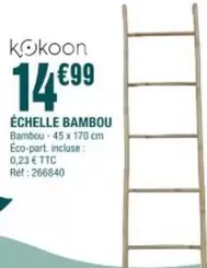 Echelle Bambou