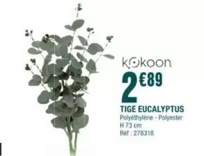 TIGE EUCALYPTUS