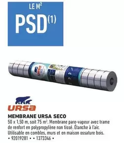 Ask - Membrane Ursa Seco