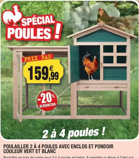 Pouletler 2 À 4 Poules Avec Enclos Et Pondoir Couleur Ver Et Blanc offre à 159,99€ sur Outiror