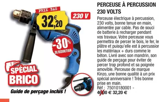 Perceuse A Percussion 230 V offre à 32,2€ sur Outiror