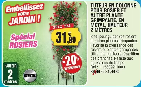 Tuteur En Colonne Pour Rosier Et Autre Plante Grimpante, En Metal, Hauteur 2 Mètres offre à 31,99€ sur Outiror