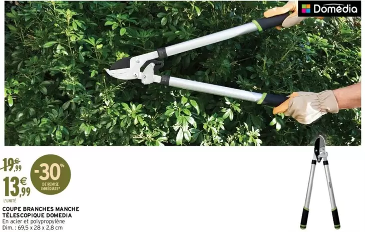 Coupe-Branches Téléscopique Dim - Domédia : Outils de jardinage pratiques, idéal pour tailler vos branches facilement.