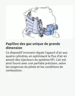 Papillon Des Gaz Unique De Grande offre sur Yamaha