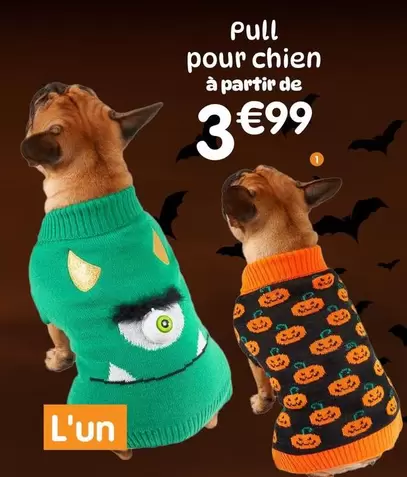 Pull Pour Chien offre à 3,99€ sur B&M