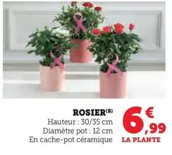 Rosier offre à 6,99€ sur U Express