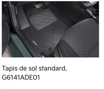 Tapis De Sol Standard offre sur KIA