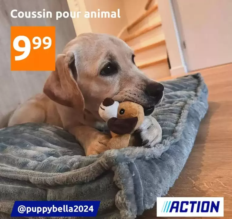 Coussin Pour Animal offre à 9,99€ sur Action