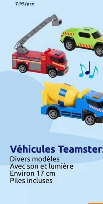 Véhicules Teamster