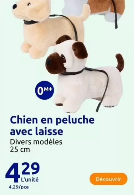 Chien En Peluche Avec Laisse