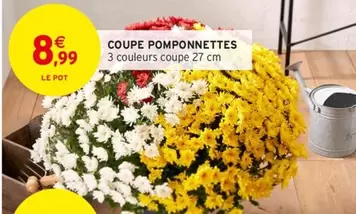 Coupe Pomponnettes offre à 8,99€ sur Intermarché