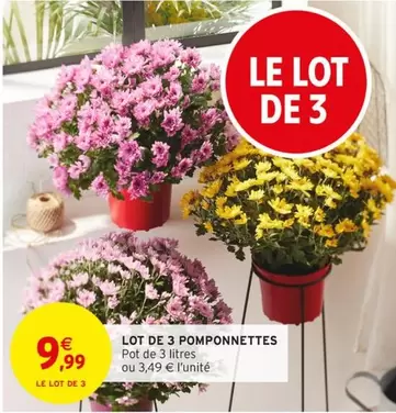 Lot De 3 Pomponnettes offre à 9,99€ sur Intermarché