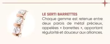 Le Serti Barrettes offre sur Julien d'Orcel