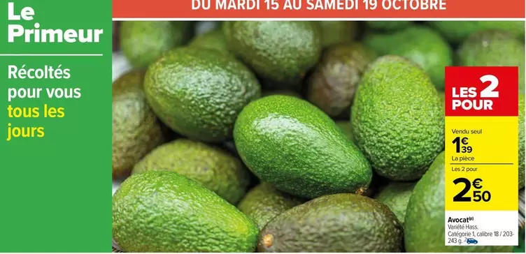 TOUS - Avocat